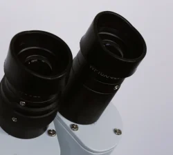 Okulare WF10x des Stereomikroskops für 10-fache Vergrößerung in der Werkstatt